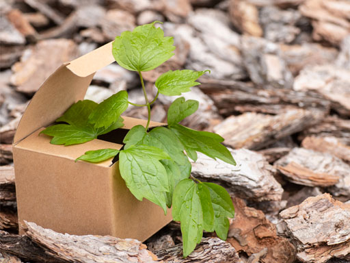 Emballage éco responsable avec une plante